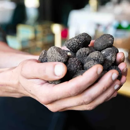 Wander Hotel Wageningen