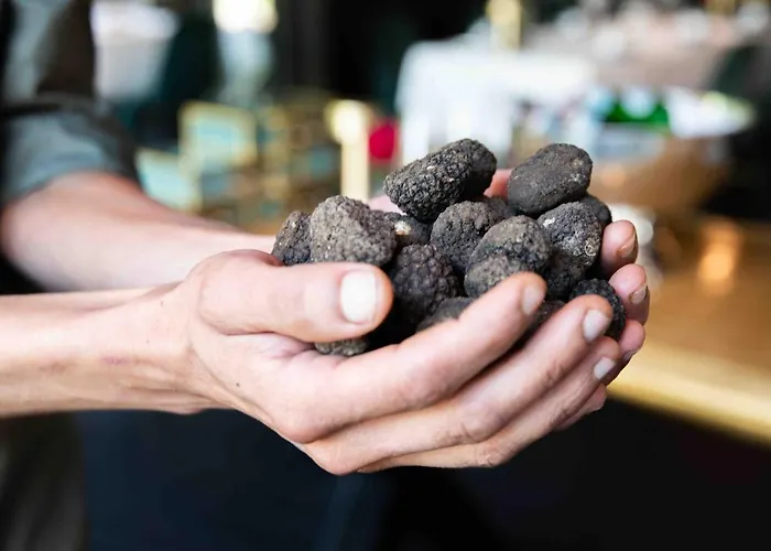 Wander Hotel Wageningen